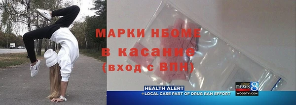 шишки Богородск