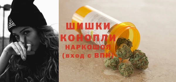 шишки Богородск