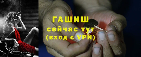 шишки Богородск