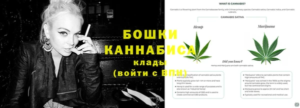 mdma Богородицк