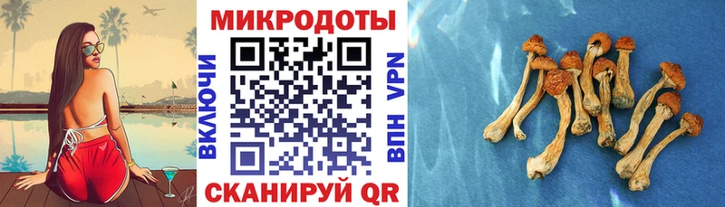 Галлюциногенные грибы Magic Shrooms  Кондрово 